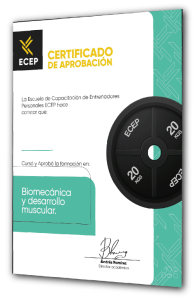 Recurso 15@3x